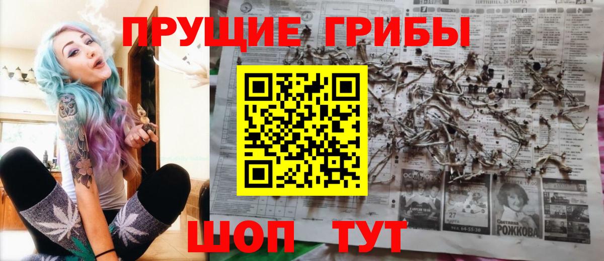 Подольск  Псилоцибиновые грибы Magic Shrooms  Вход с VPN 