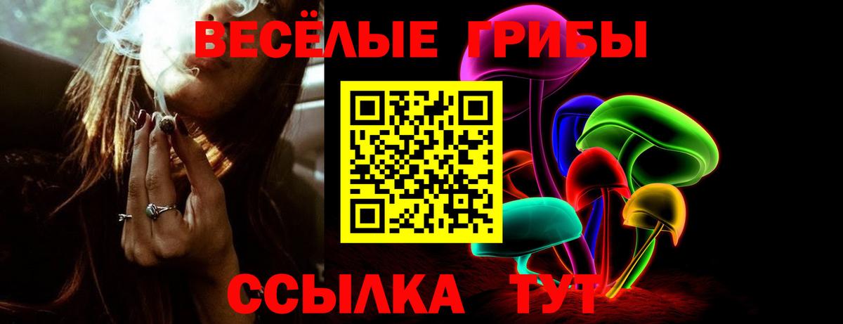 Псилоцибиновые грибы MAGIC MUSHROOMS Подольск